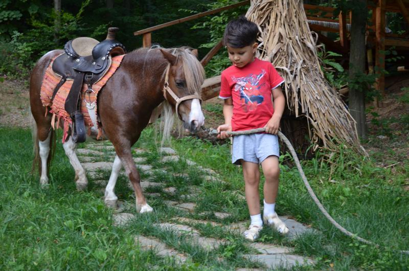 Pensiunea Stejarul Mierea Exteriér fotografie